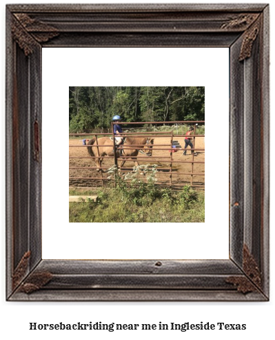 horseback riding near me in Ingleside, Texas